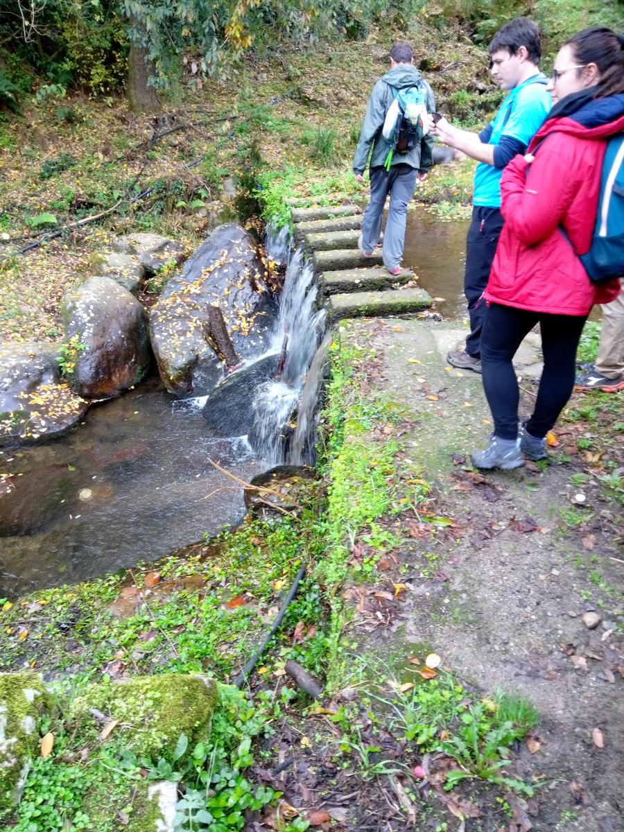 Camelieto - Anello - foto 4