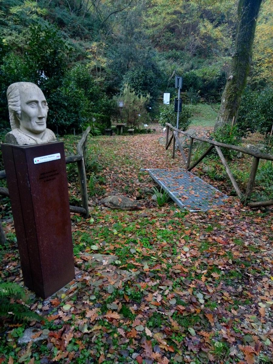 Camelieto - Anello - foto 5