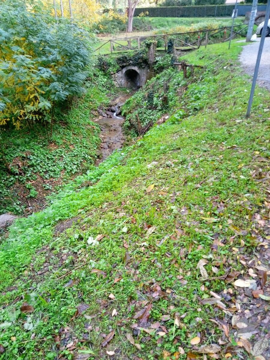 Camelieto - Anello - foto 7