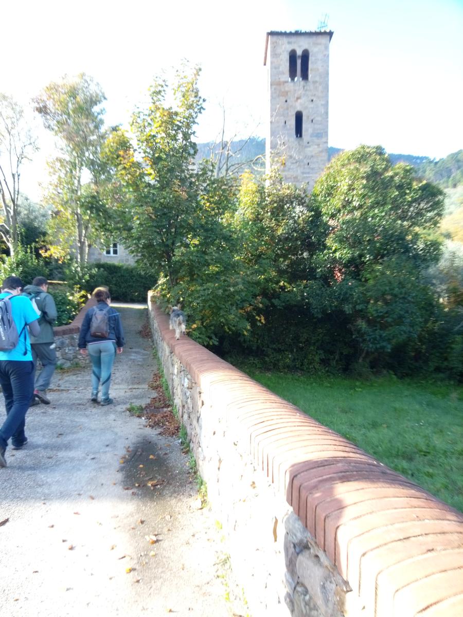 Camelieto - Anello - foto 8