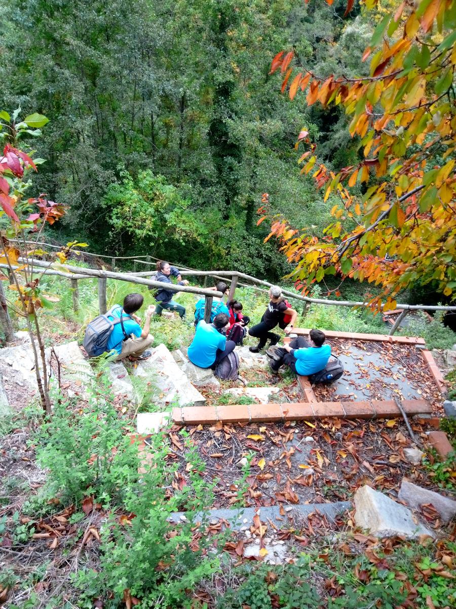 Camelieto - Anello - foto 12