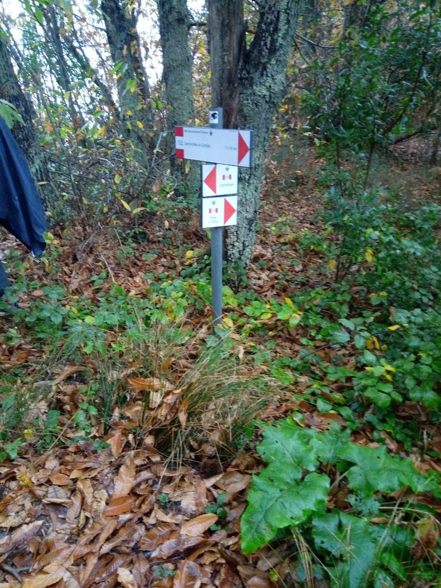 Camelieto - Anello - foto 13