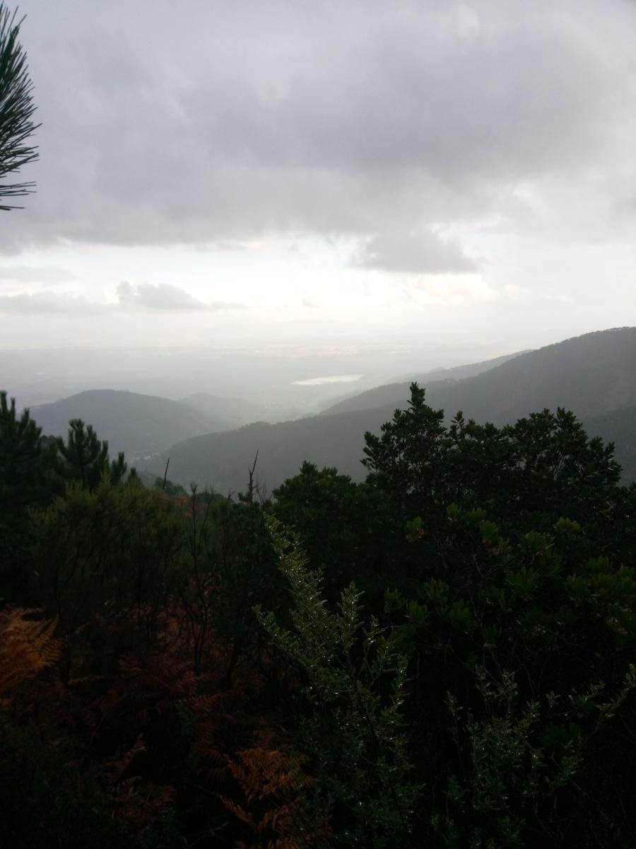 Camelieto - Anello - foto 14