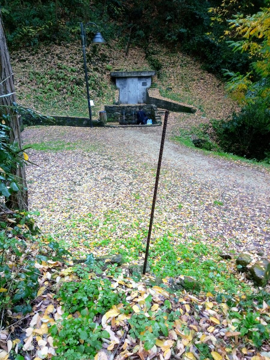 Camelieto - Anello - foto 15