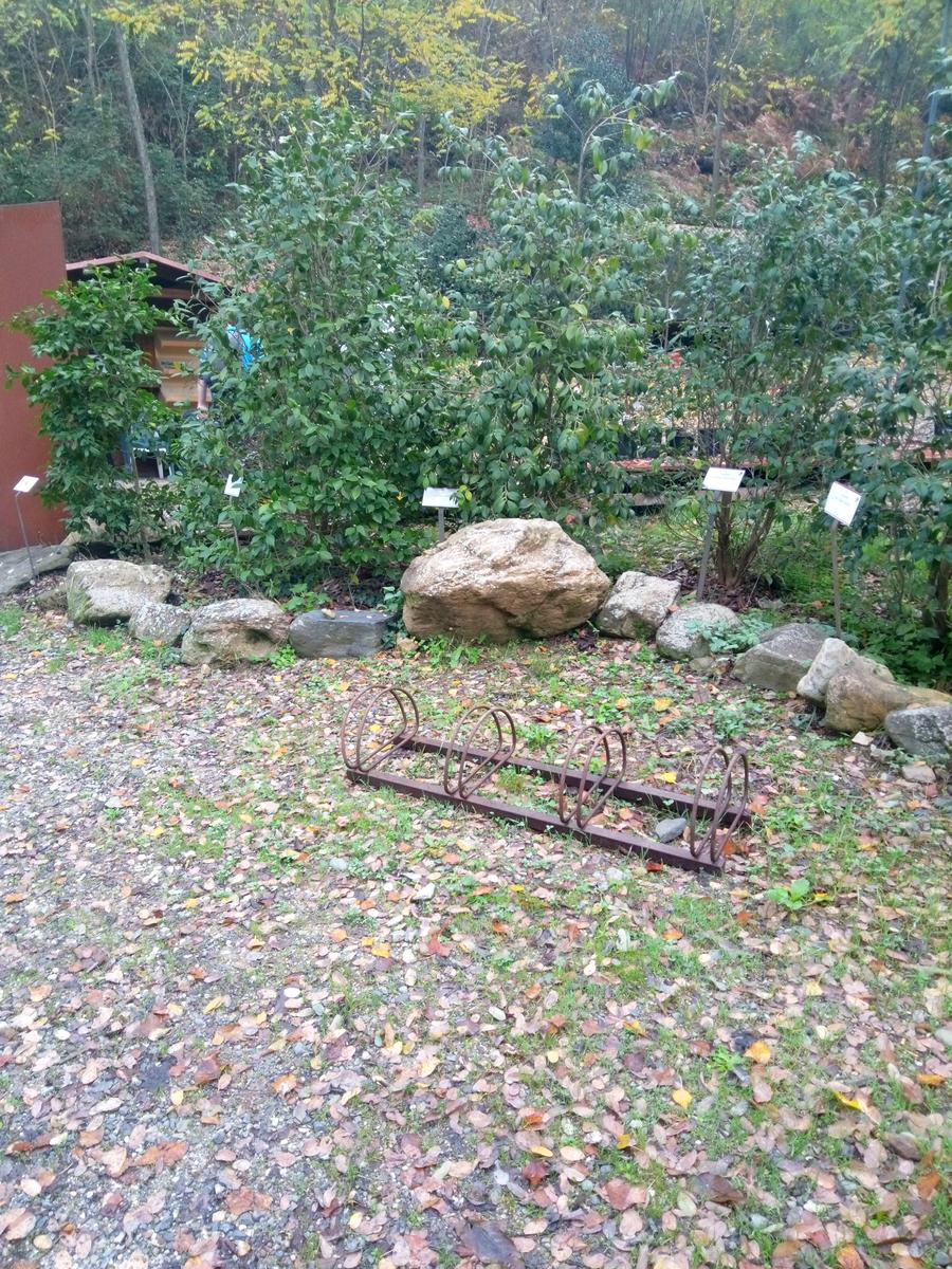 Camelieto - Anello - foto 16