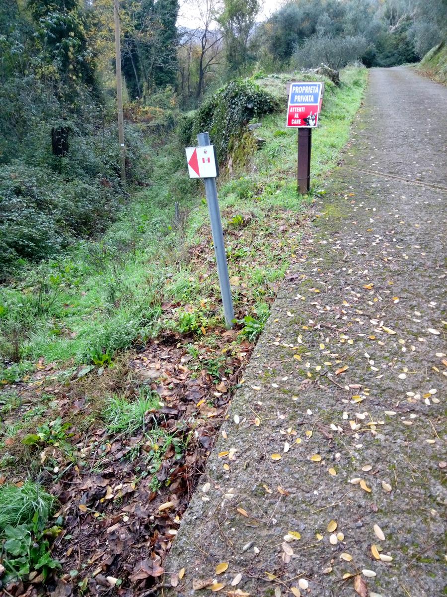 Camelieto - Anello - foto 18