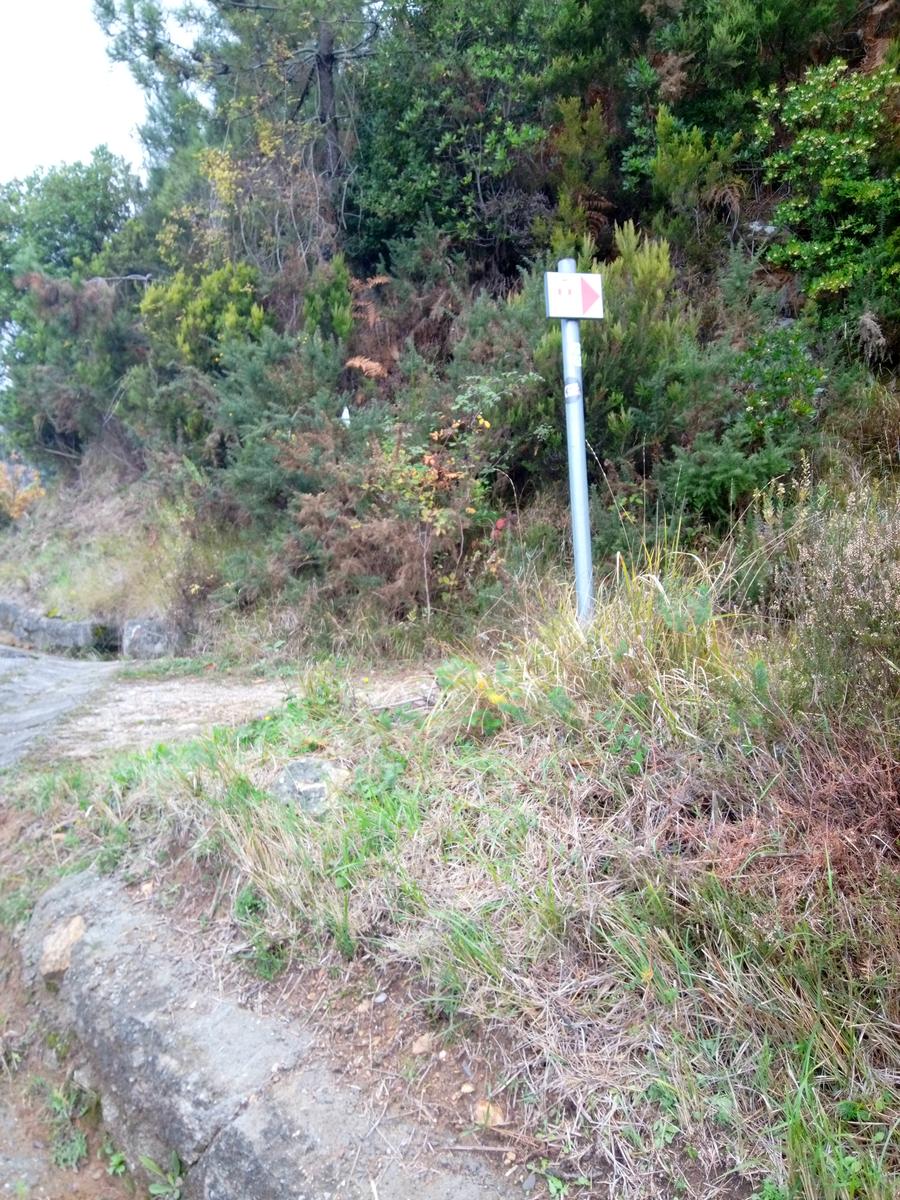 Camelieto - Anello - foto 19