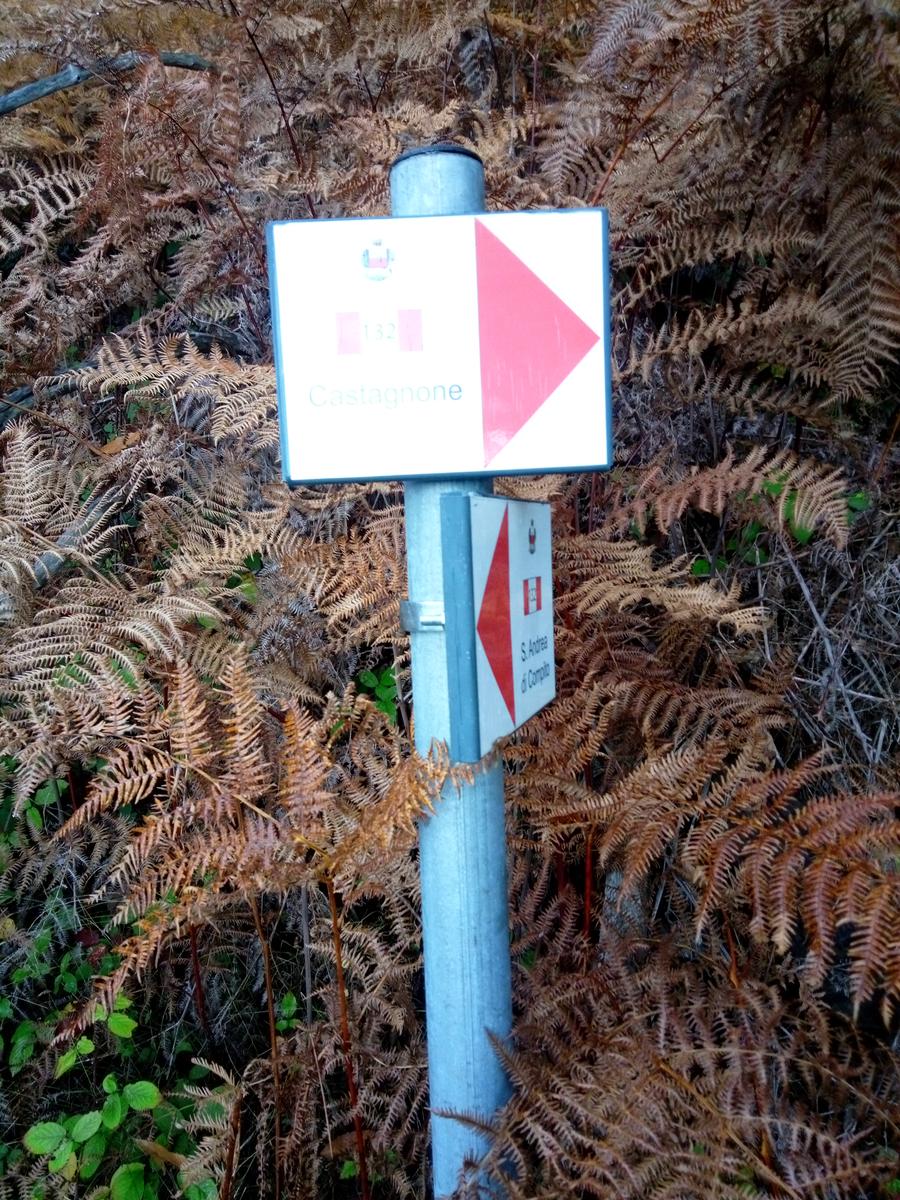 Camelieto - Anello - foto 20