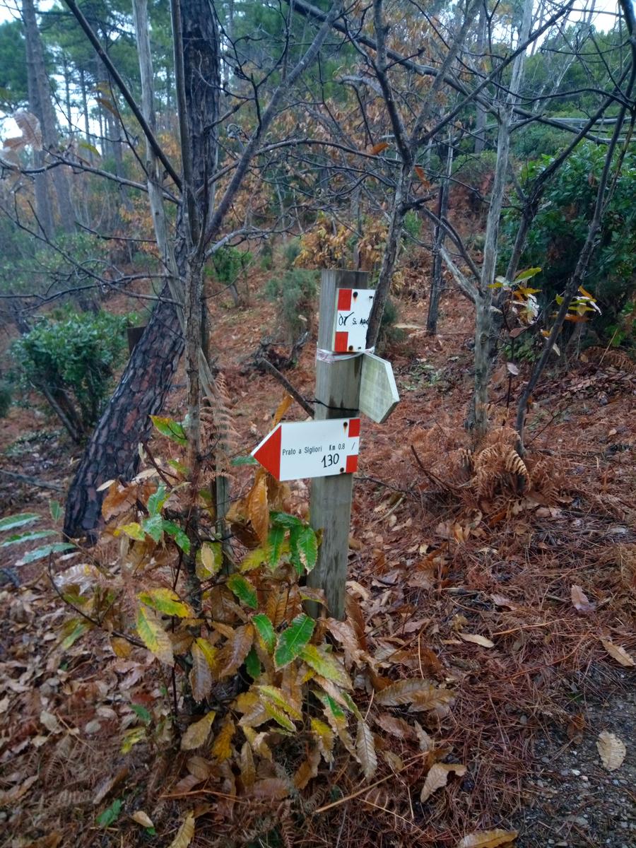 Camelieto - Anello - foto 21