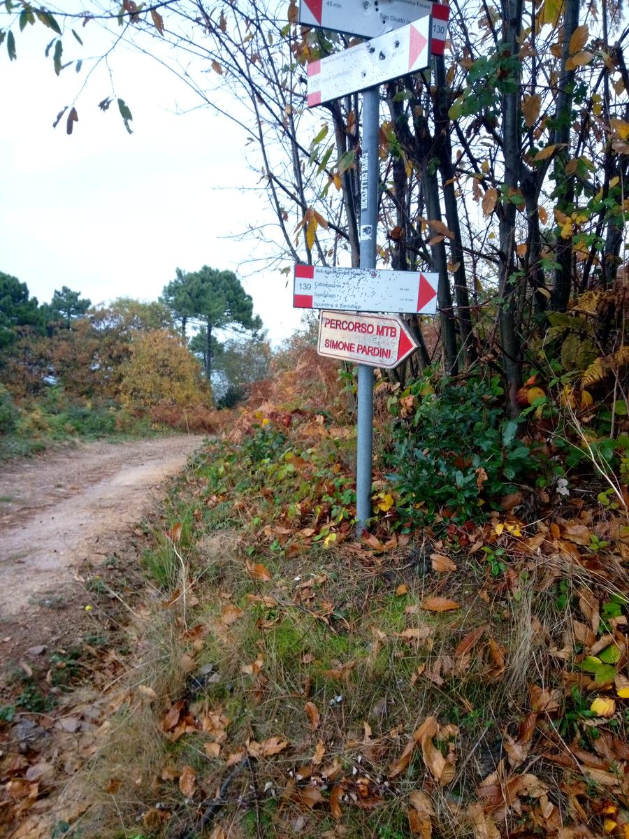 Camelieto - Anello - foto 22