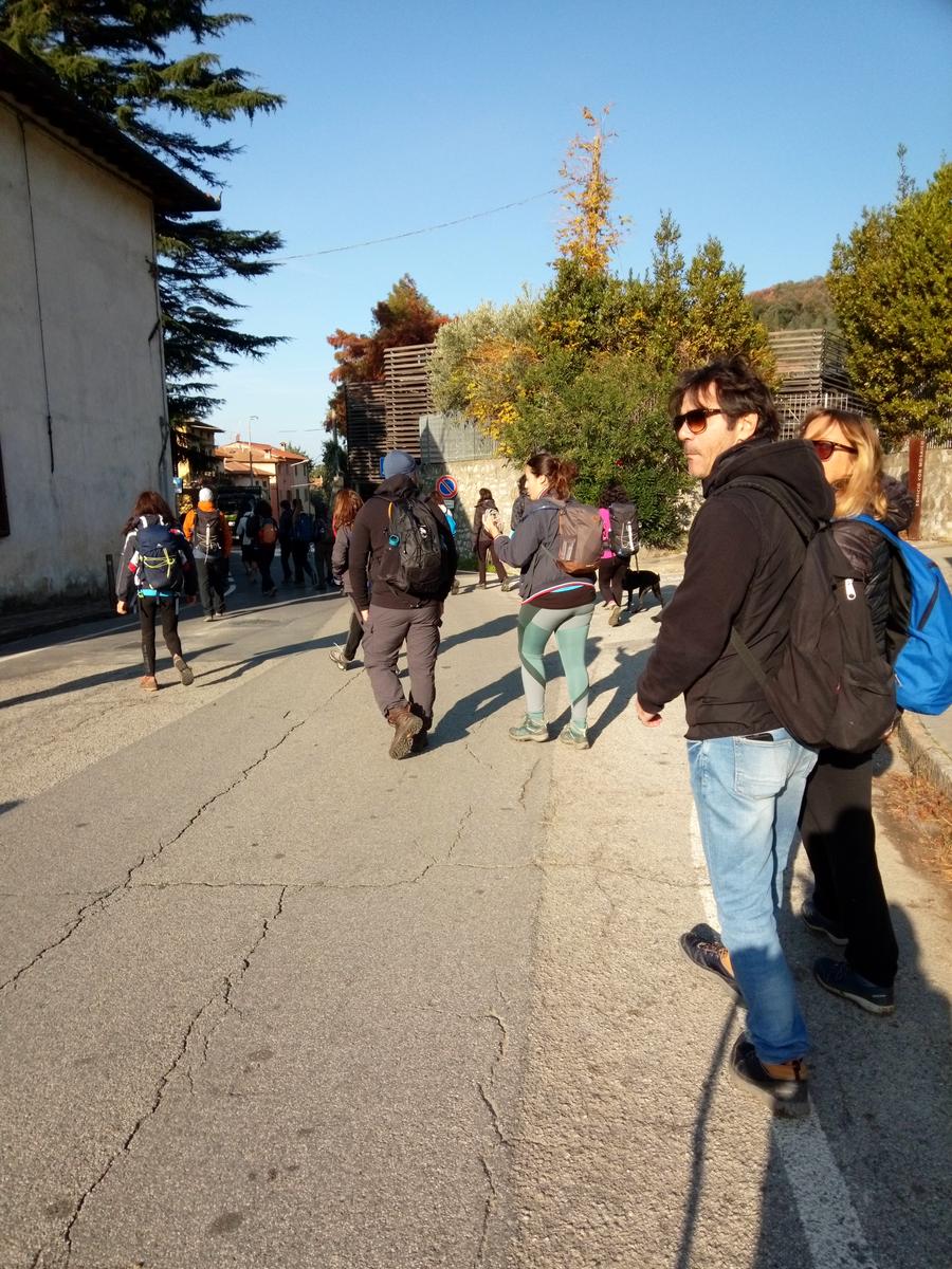 Lago di Massaciuccoli - Anello - foto 2
