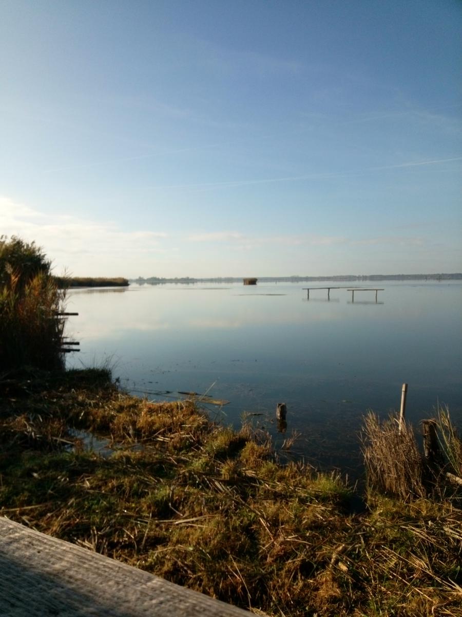 Lago di Massaciuccoli - Anello - foto 3