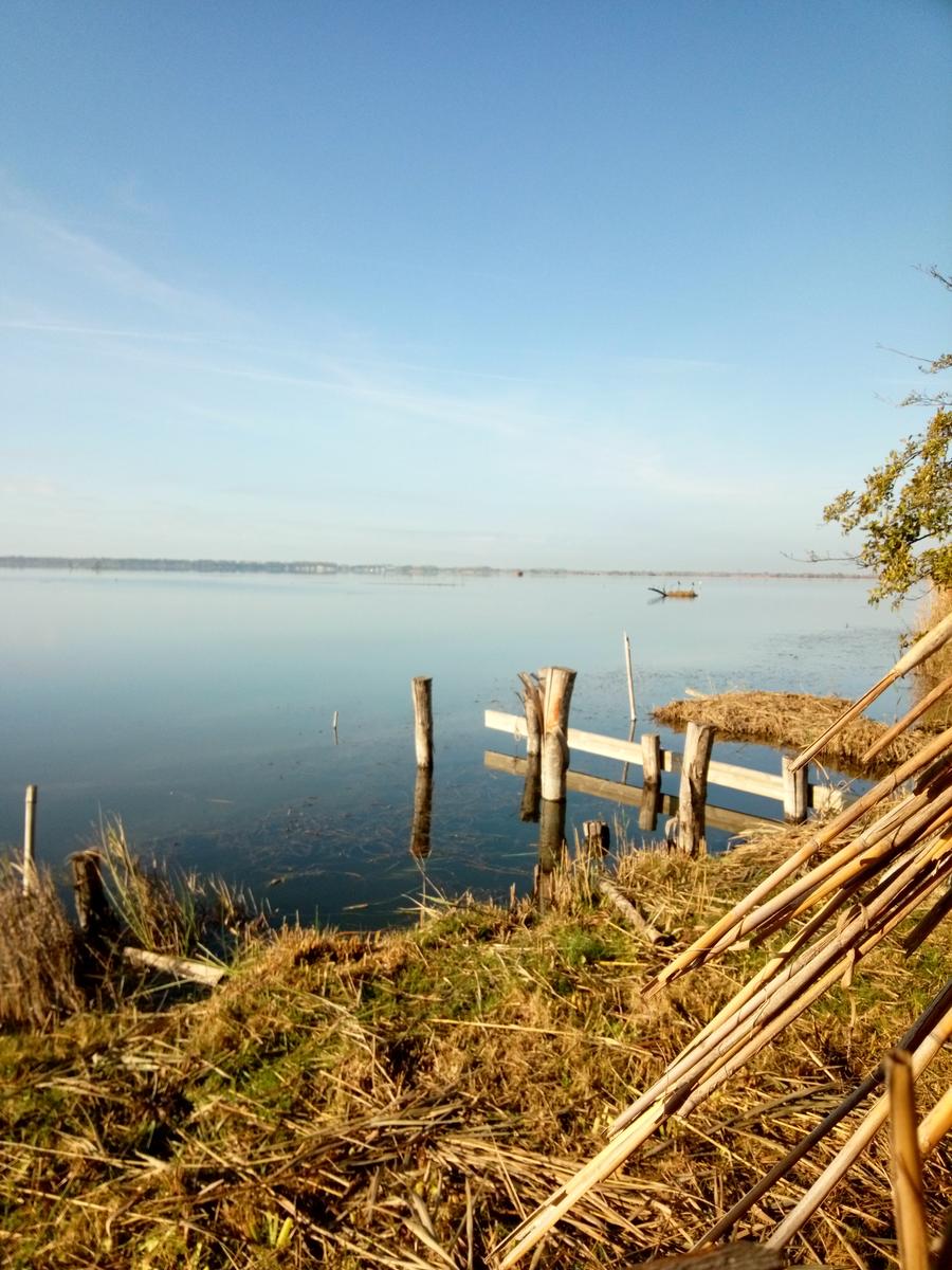 Lago di Massaciuccoli - Anello - foto 4