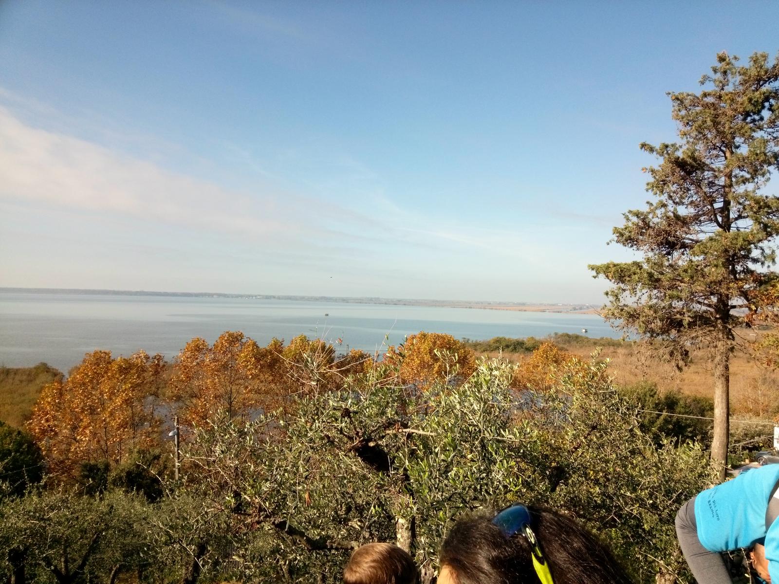 Lago di Massaciuccoli - Anello - foto 5