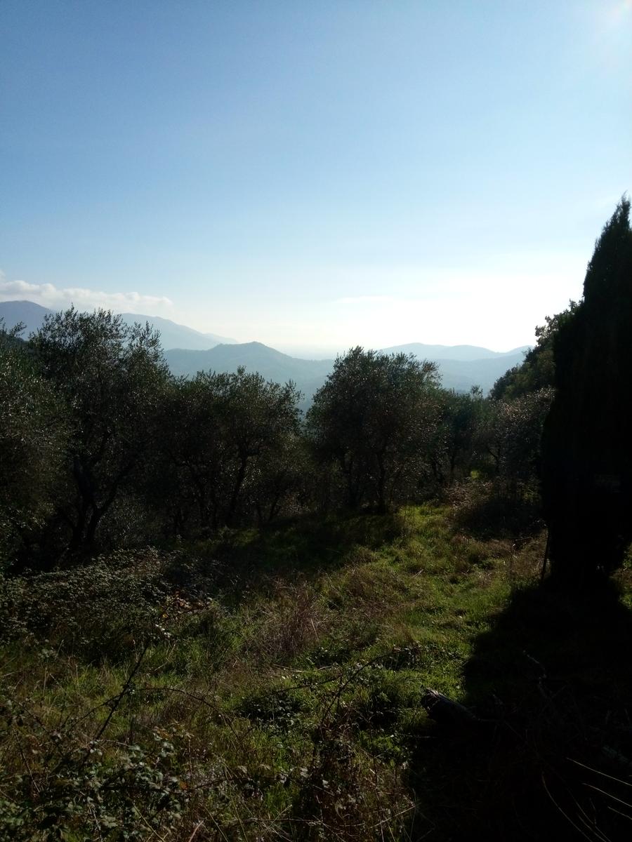 Lago di Massaciuccoli - Anello - foto 7