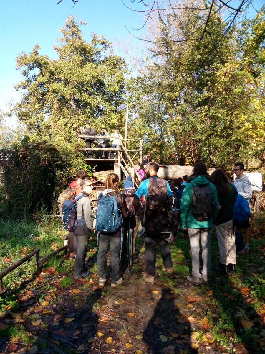 Lago di Massaciuccoli - Anello - foto 10