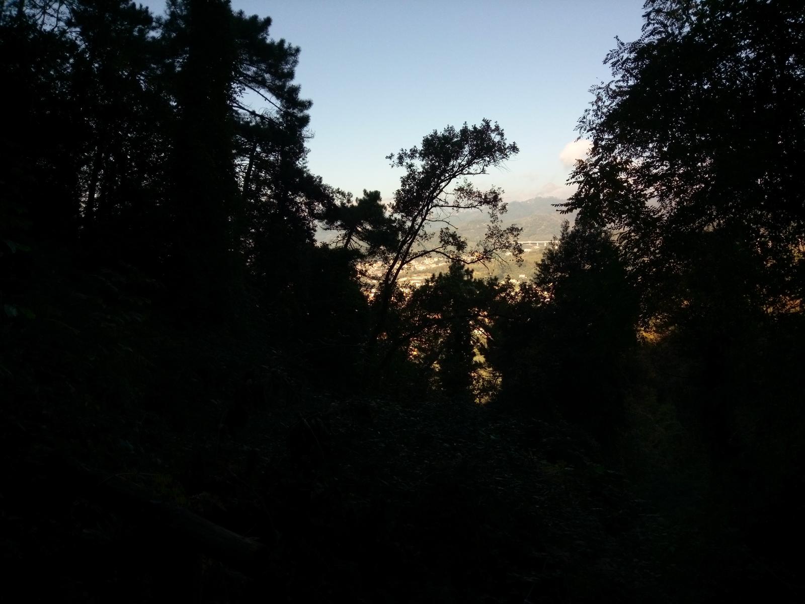 Lago di Massaciuccoli - Anello - foto 11
