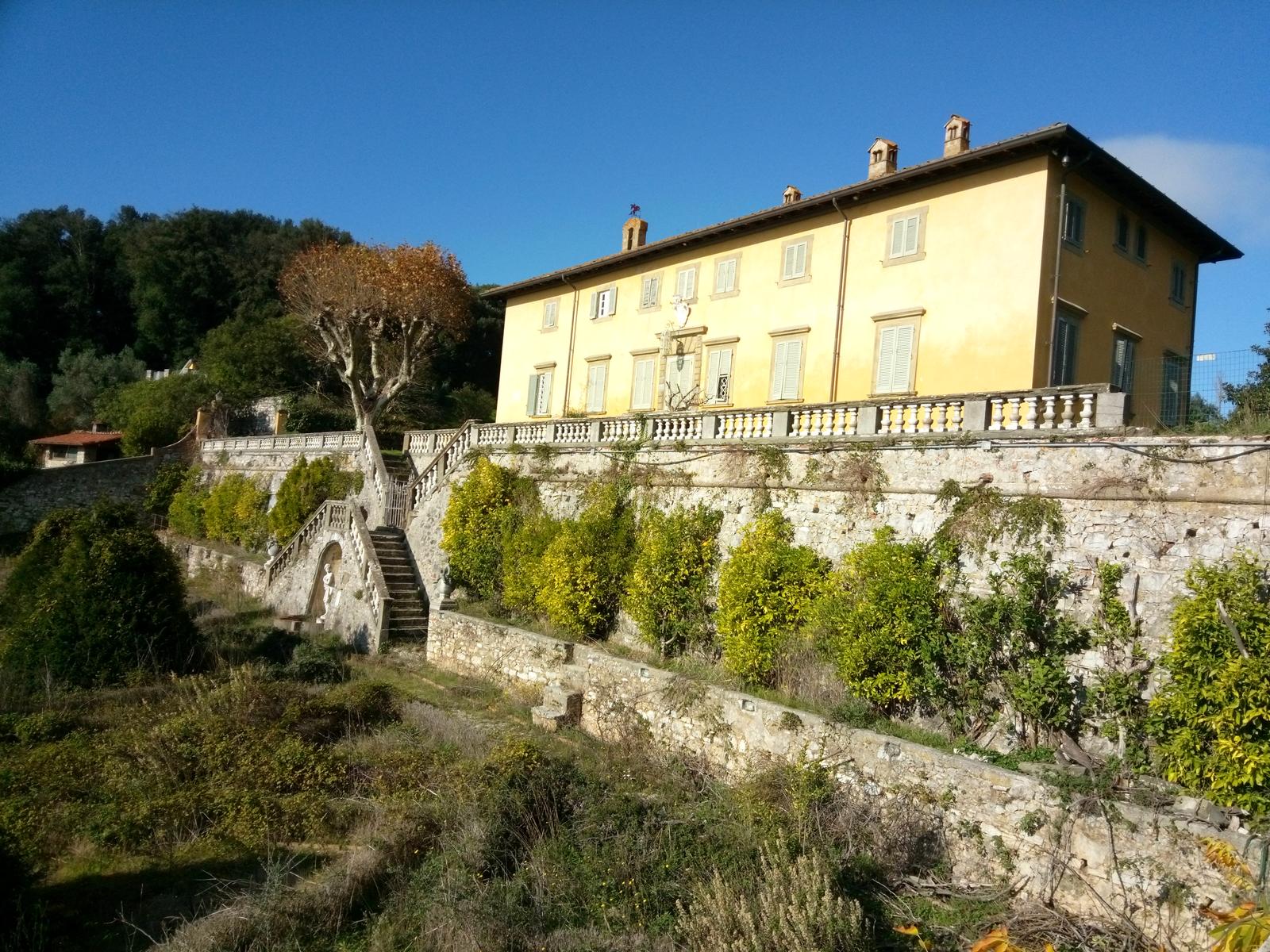 Lago di Massaciuccoli - Anello - foto 12
