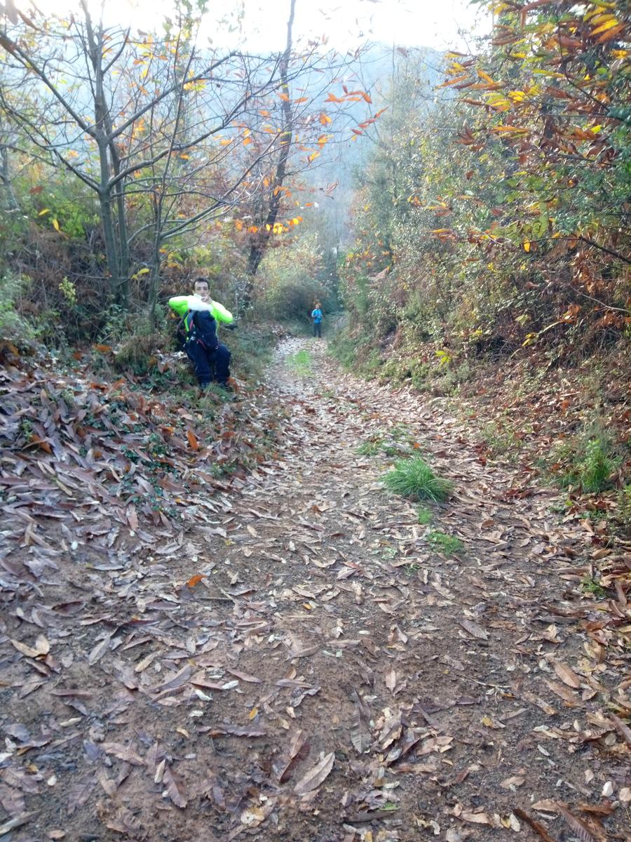 Lago di Massaciuccoli - Anello - foto 14