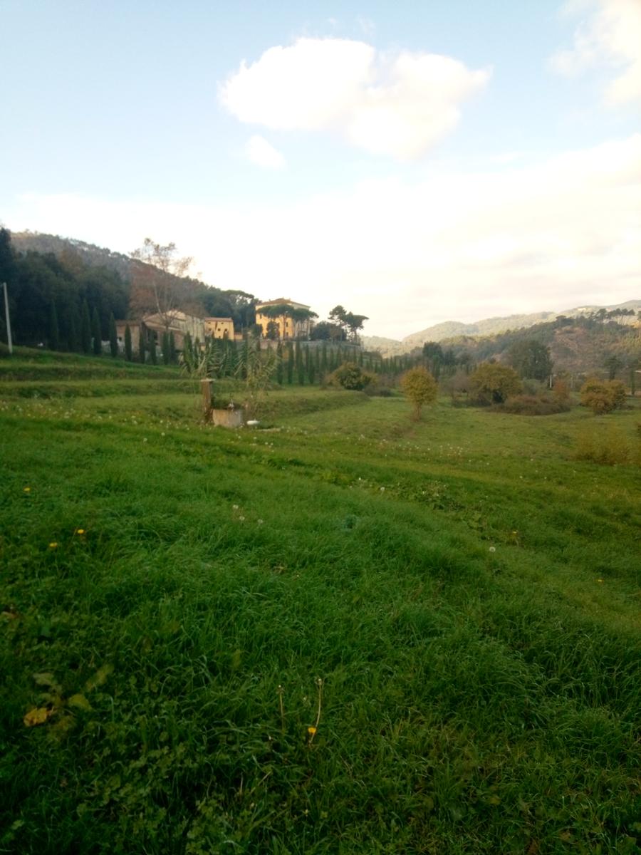Lago di Massaciuccoli - Anello - foto 15