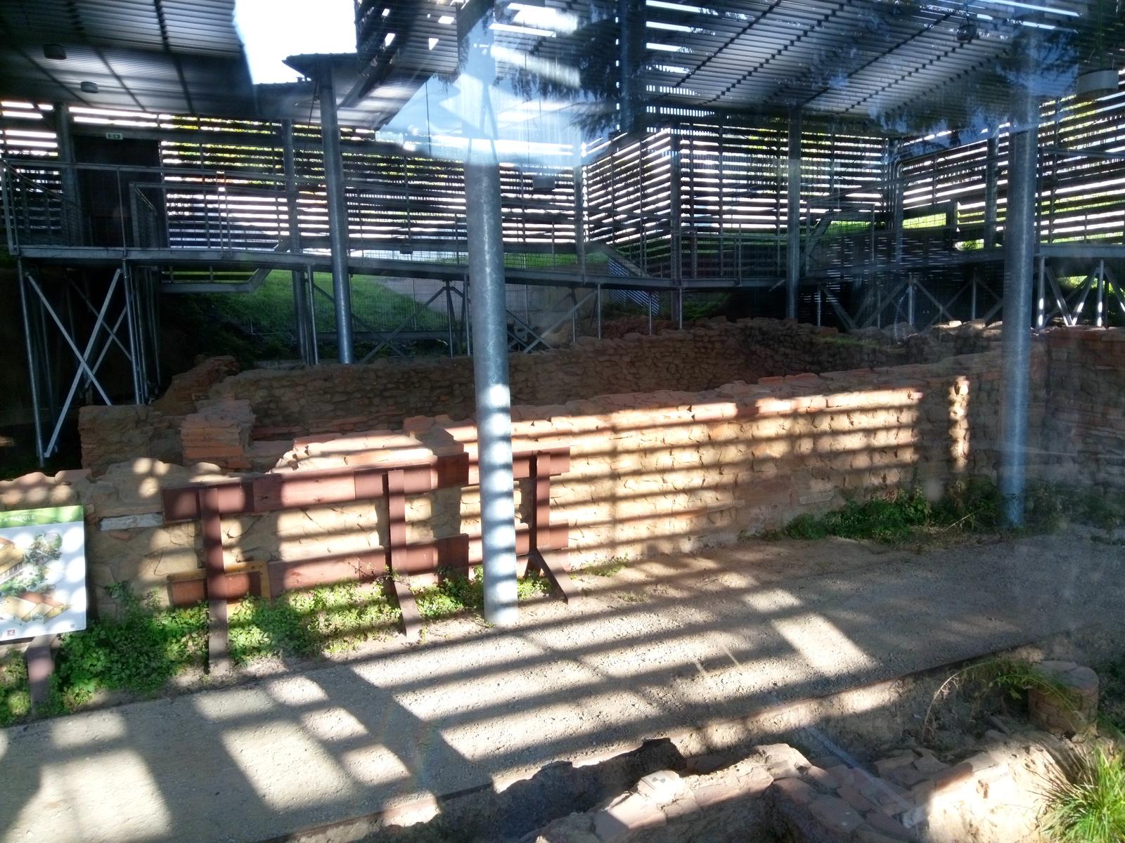 Lago di Massaciuccoli - Anello - foto 18