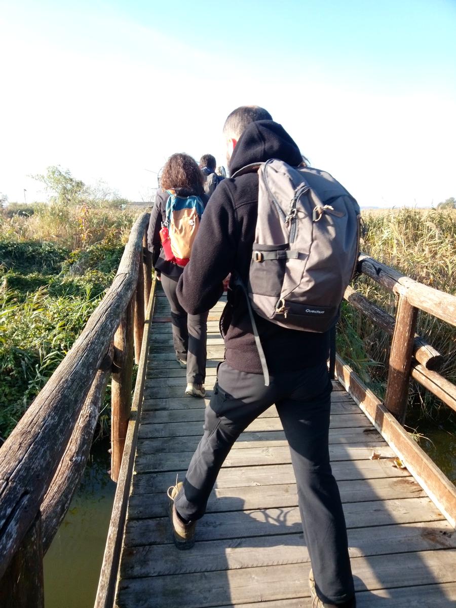 Lago di Massaciuccoli - Anello - foto 19