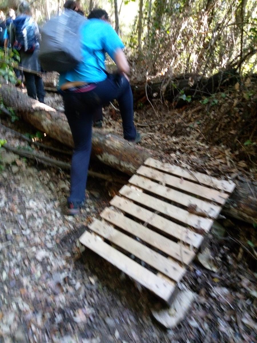 Lago di Massaciuccoli - Anello - foto 20