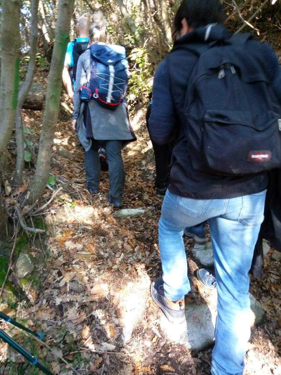 Lago di Massaciuccoli - Anello - foto 21