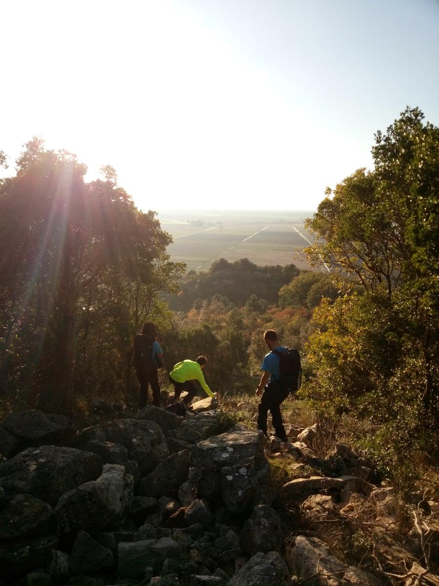 Lago di Massaciuccoli - Anello