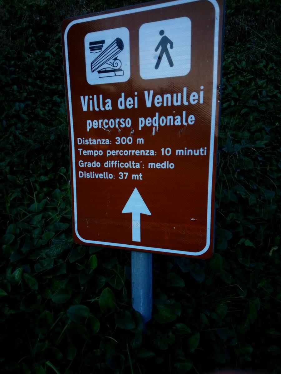 Lago di Massaciuccoli - Anello - foto 22