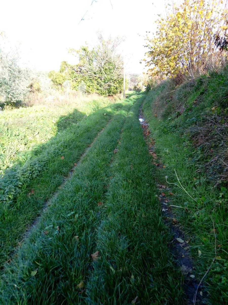 Filettole con vista sul Lago di Massaciuccoli - foto 3