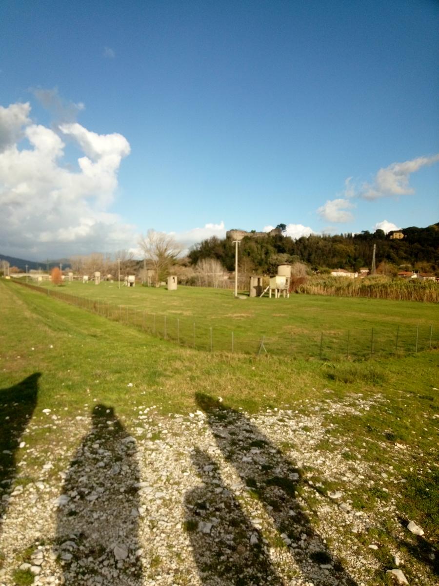 Filettole con vista sul Lago di Massaciuccoli - foto 4