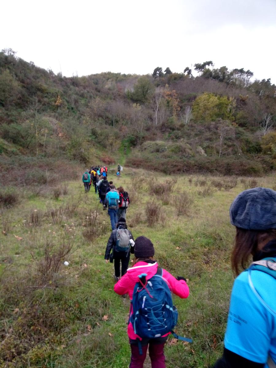 Filettole con vista sul Lago di Massaciuccoli - foto 5