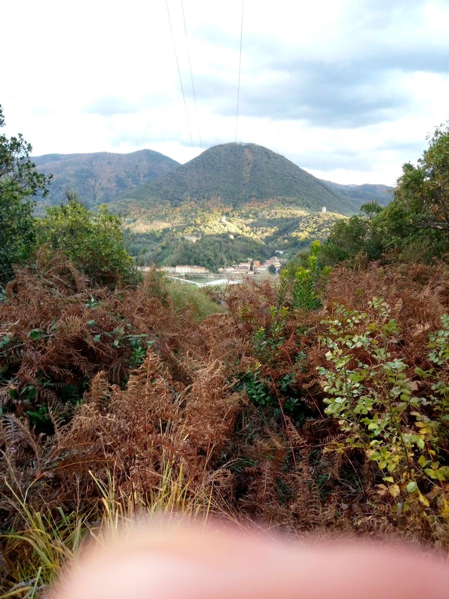 Filettole con vista sul Lago di Massaciuccoli - foto 6