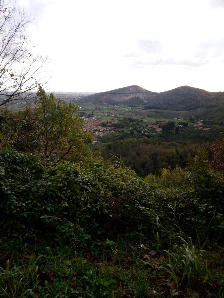 Filettole con vista sul Lago di Massaciuccoli - foto 7