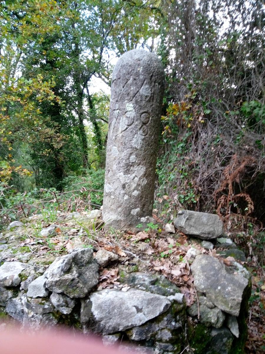 Filettole con vista sul Lago di Massaciuccoli - foto 9