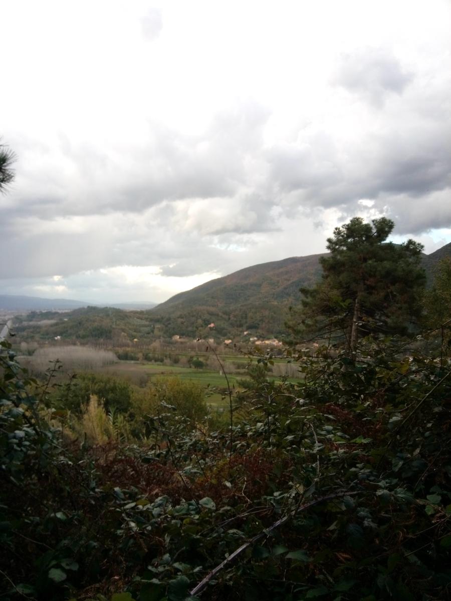 Filettole con vista sul Lago di Massaciuccoli - foto 10