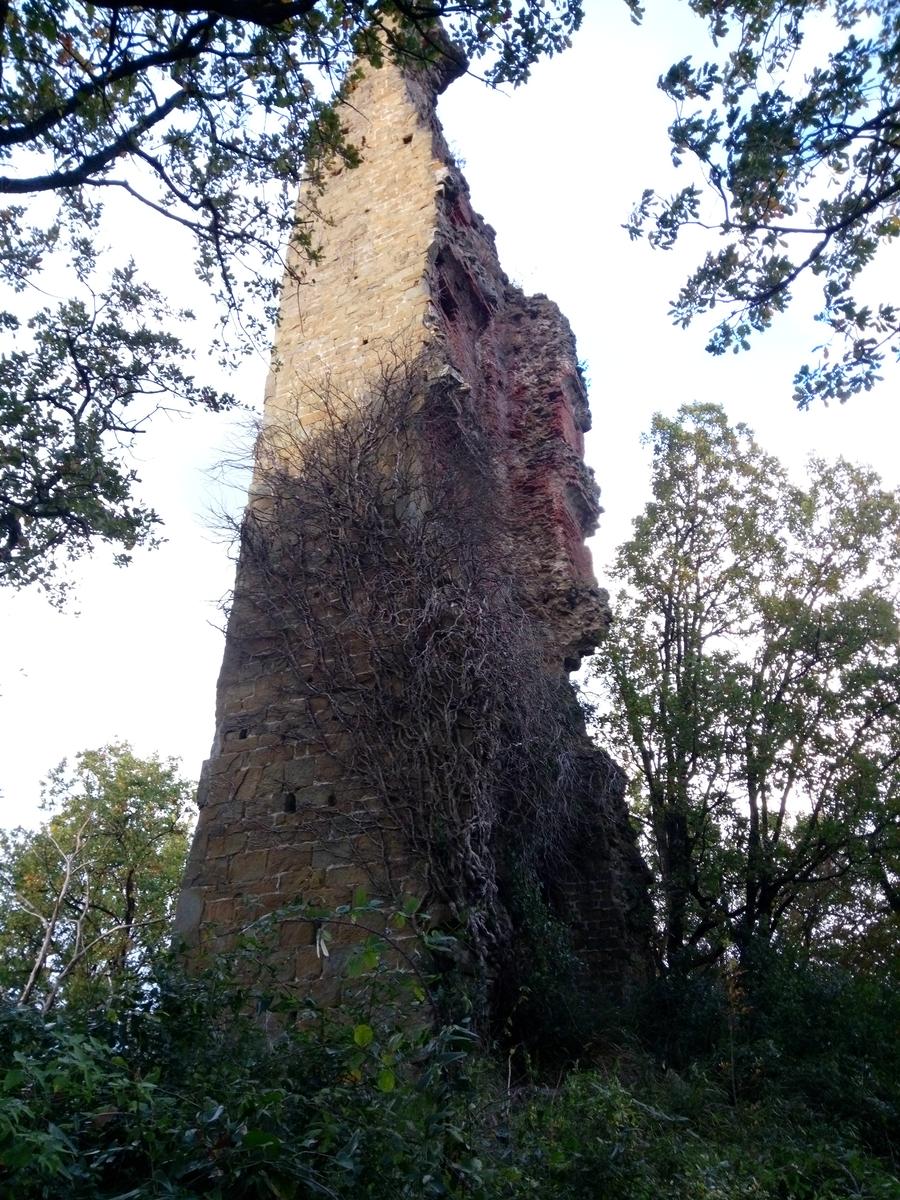 Filettole con vista sul Lago di Massaciuccoli - foto 11