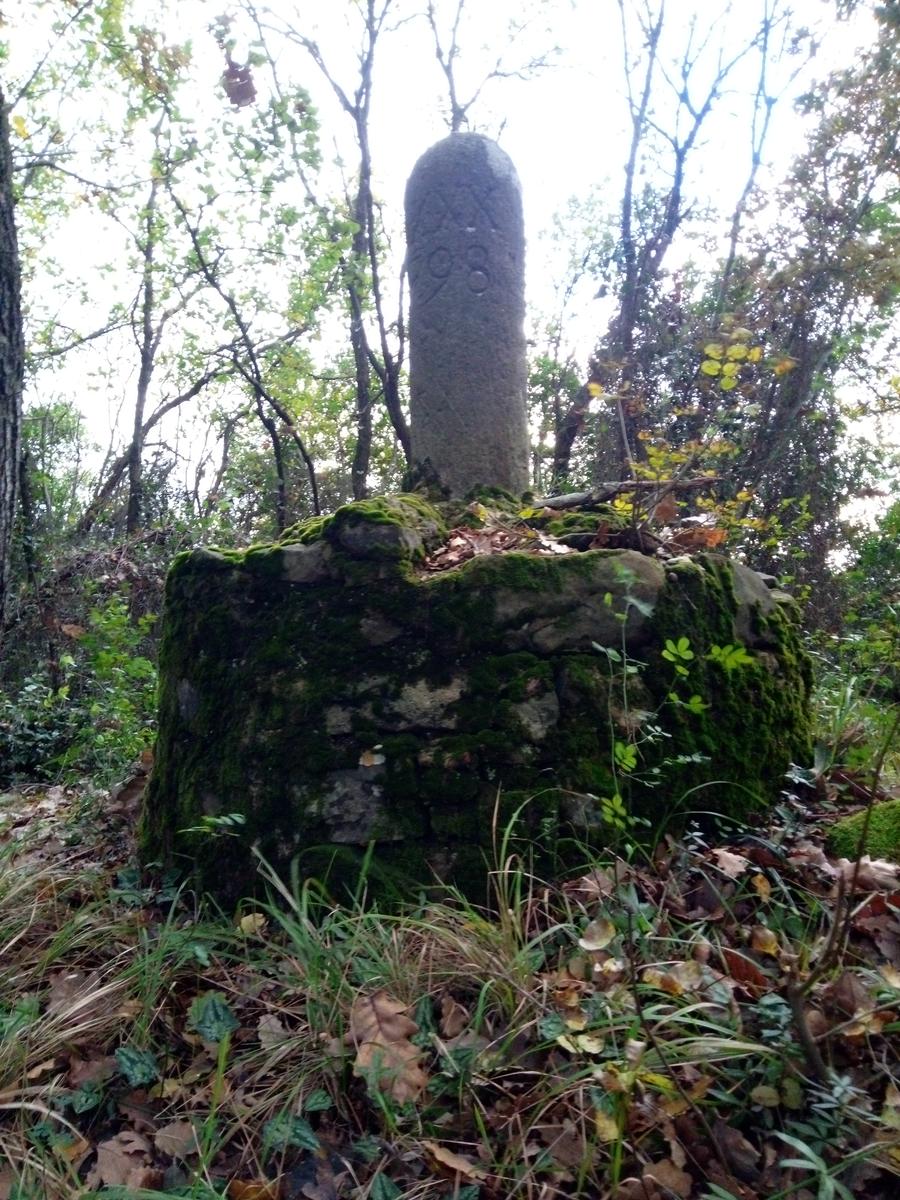 Filettole con vista sul Lago di Massaciuccoli - foto 12