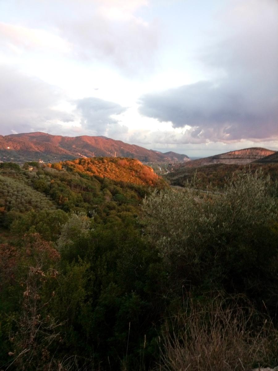Filettole con vista sul Lago di Massaciuccoli - foto 13
