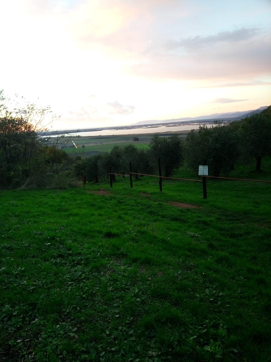 Filettole con vista sul Lago di Massaciuccoli - foto 14