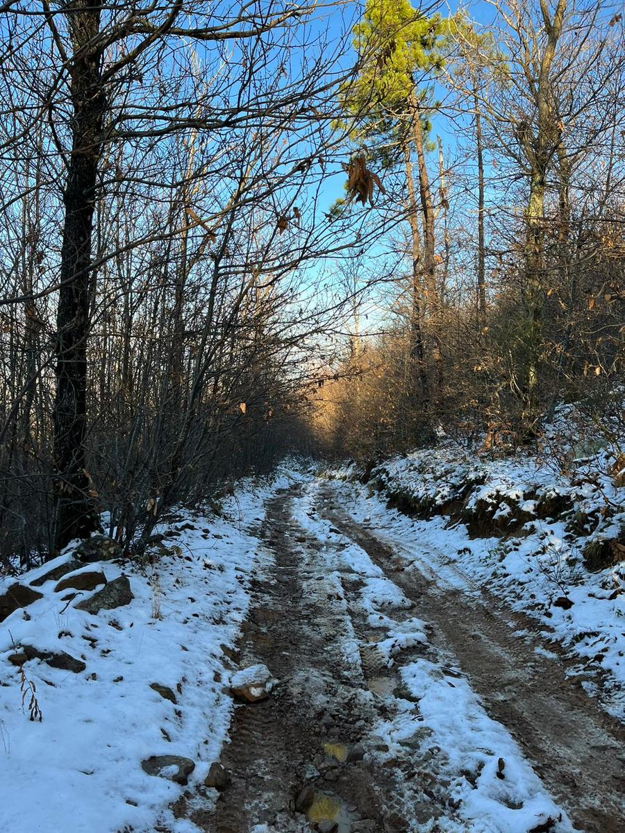 Vorno - Campo croce - Monte Faeta - Verruchino - Spuntone - Santallago