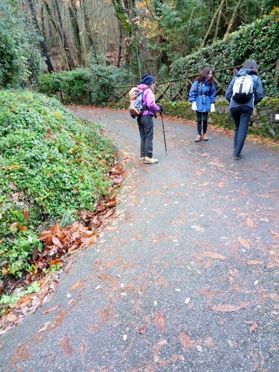 Vorno - Campo croce - Monte Faeta - Verruchino - Spuntone - Santallago - foto 3
