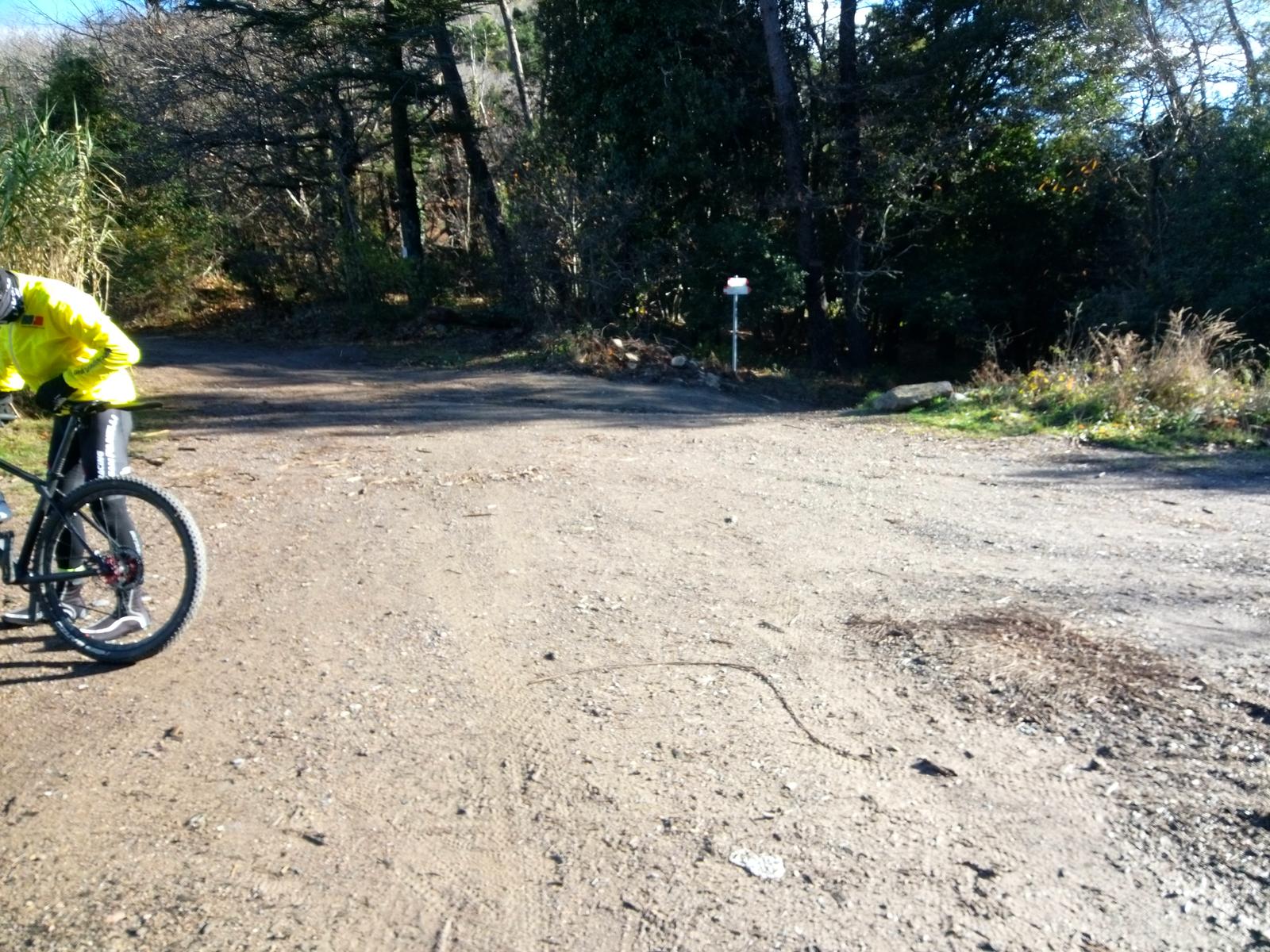 Vorno - Campo croce - Monte Faeta - Verruchino - Spuntone - Santallago - foto 5