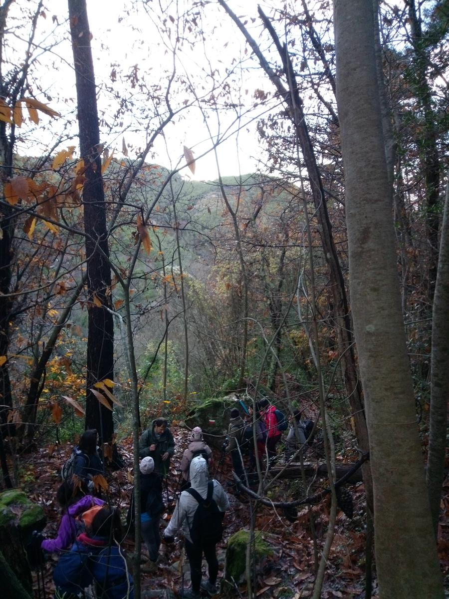 Vorno - Campo croce - Monte Faeta - Verruchino - Spuntone - Santallago - foto 6