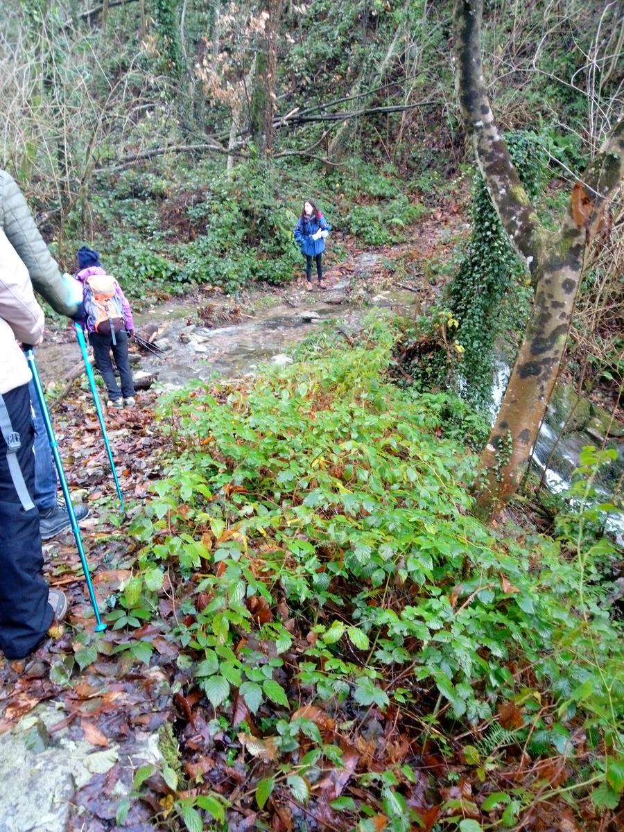 Vorno - Campo croce - Monte Faeta - Verruchino - Spuntone - Santallago - foto 7