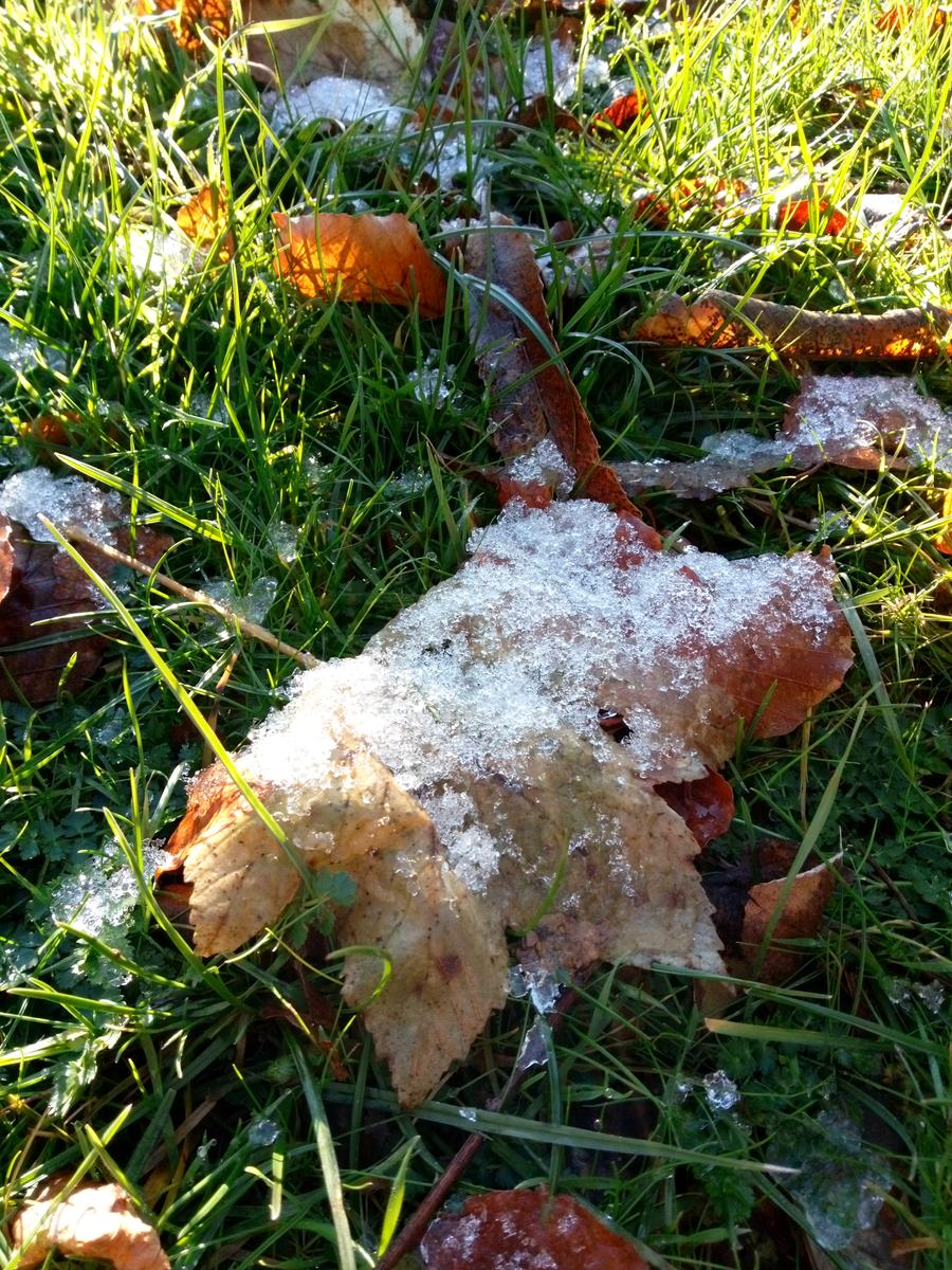 Vorno - Campo croce - Monte Faeta - Verruchino - Spuntone - Santallago - foto 8