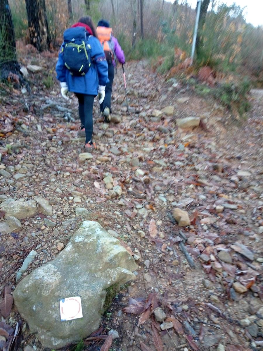 Vorno - Campo croce - Monte Faeta - Verruchino - Spuntone - Santallago - foto 11