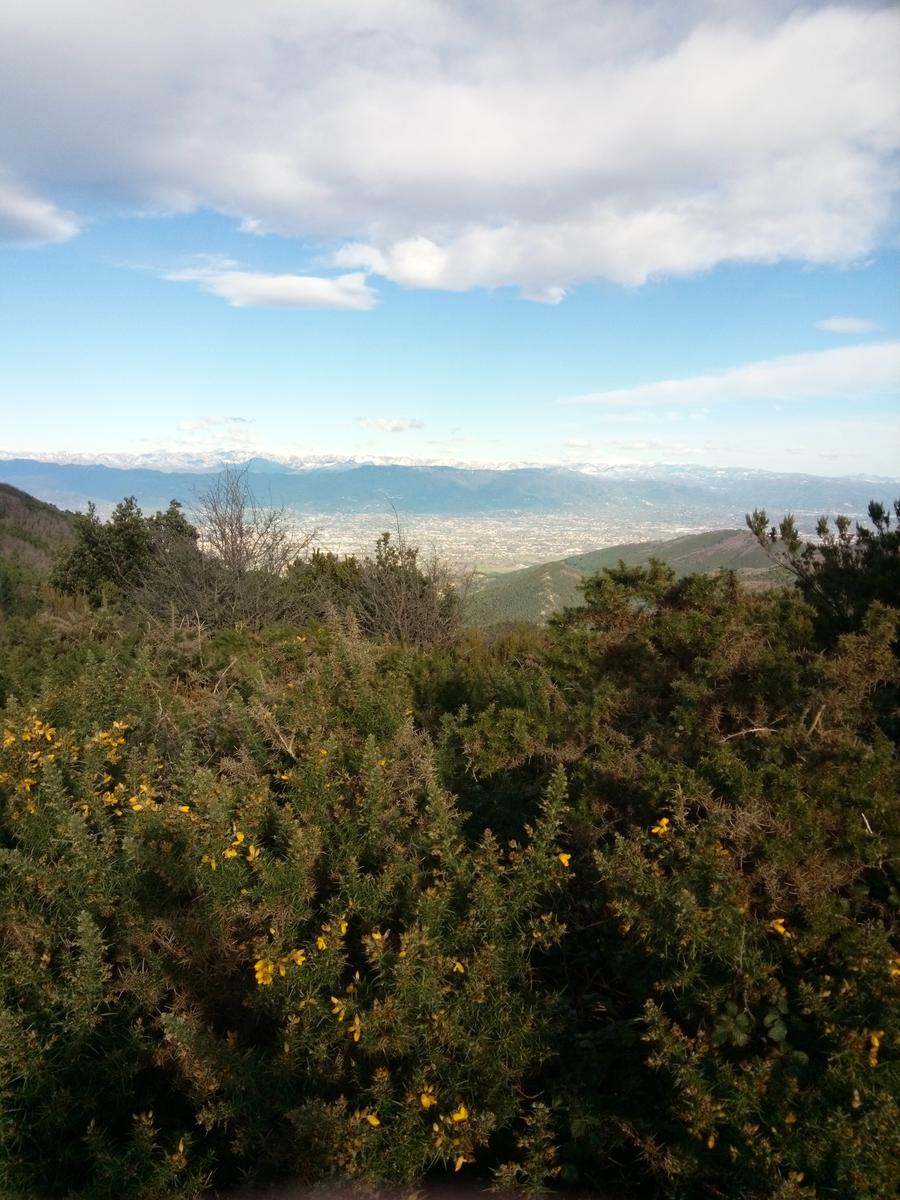 Vorno - Campo croce - Monte Faeta - Verruchino - Spuntone - Santallago - foto 12