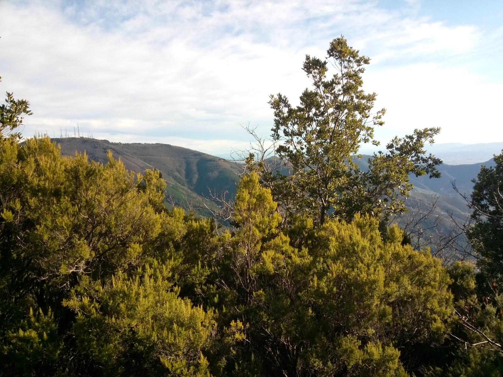 Vorno - Campo croce - Monte Faeta - Verruchino - Spuntone - Santallago - foto 13